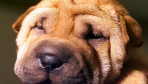 courtesy of Microsoft clip art