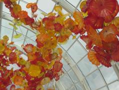 ceiling flowers