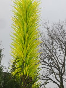 lime green tree