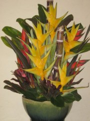 floral arrangment mauna