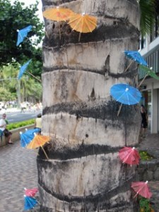 umbrellas on tree