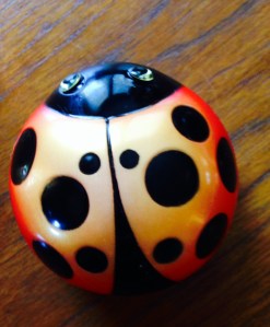 My lady bug timer