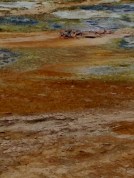 volcanic colorscape: Nordurland Eystra